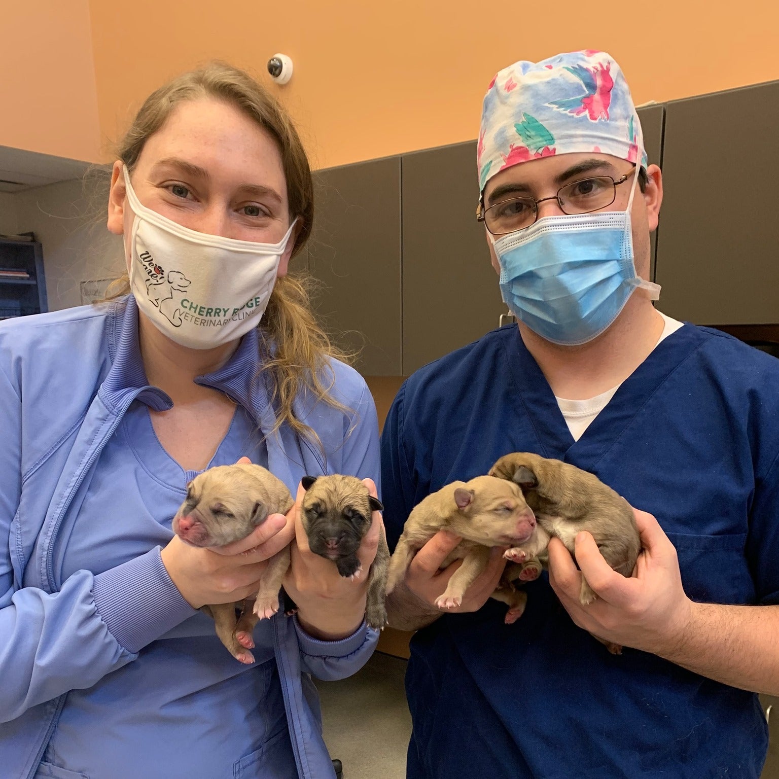 Cherry Ridge Veterinary Clinic Honesdale, PA